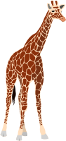 another giraffe