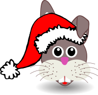 Funny bunny face with Santa Claus hat