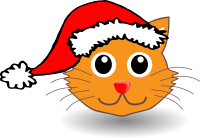 Funny kitty face with Santa Claus hat