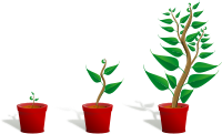 Green plant in its pot in three different phases of growth