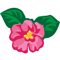 African Violets 2