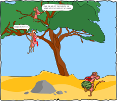 Law of the Jungle