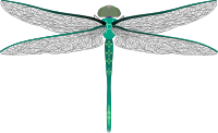 teal dragonfly