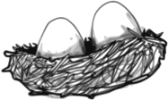 Bird's Nest