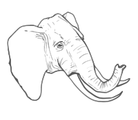 Elephant line art