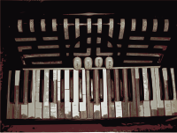 Old Accordian