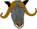 Bufflo