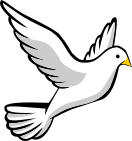flying dove