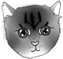 A kitten face