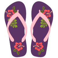 Flipflops 33