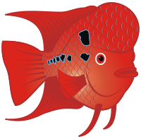 Red Goldfish