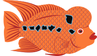 Goldfish