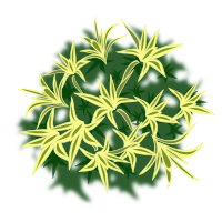 plant-01a