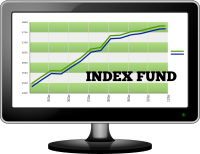 Index Fund