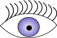 Eye