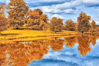 Autumn By The Lake