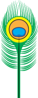 Peacock Feather