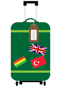 Travel Suitcase