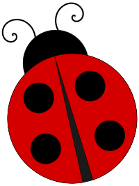 Ladybug