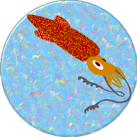 Squid