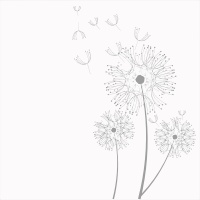 Dandelions