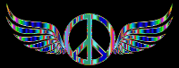 Gold Peace Sign Wings Psychedelic 2