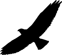 Swainson's hawk (silhouette)