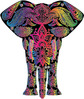 Rainbow Floral Pattern Elephant