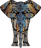 Chromatic Floral Pattern Elephant