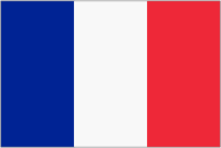 Framed flag of France