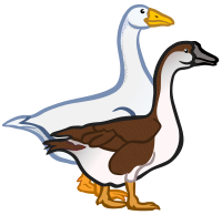 geese - coloured