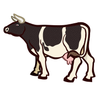 cow2 - coloured