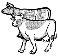 cows - lineart