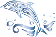 Chromatic Tribal Dolphin 12 No Background