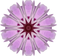 Orchid kaleidoscope 2