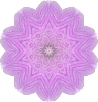 Orchid kaleidoscope 9