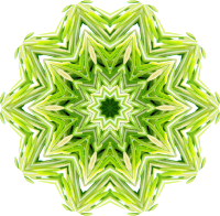 Rosemary kaleidoscope 2