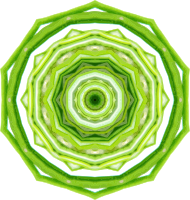 Rosemary kaleidoscope 5