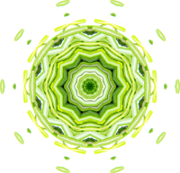 Rosemary kaleidoscope 4