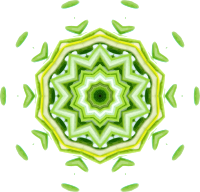 Rosemary kaleidoscope 7