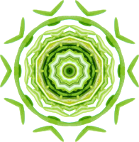Rosemary kaleidoscope 6