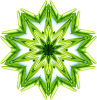 Rosemary kaleidoscope 10