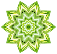 Rosemary kaleidoscope 14