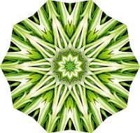 Rosemary kaleidoscope 20