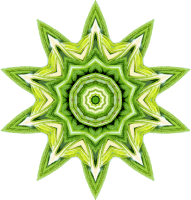 Rosemary kaleidoscope 18