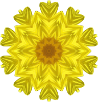 Sunflower kaleidoscope 1