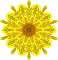Sunflower kaleidoscope 2