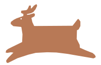 Deer refixed