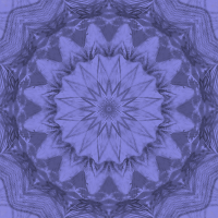 flower in kaleidoscope