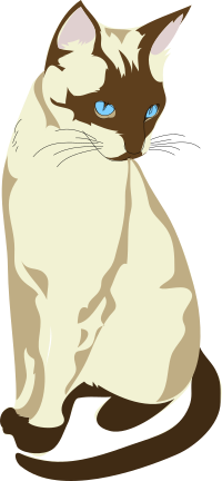 Architetto -- Gatto 04